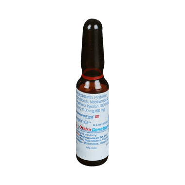 MEGAneuron Forte Injection